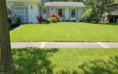 Photo of Casandra S.'s yard after getting lawn care in Orange Park, FL