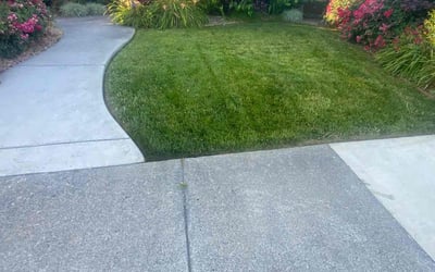 Photo of Remillo D.'s yard after getting lawn care in Auburn, CA