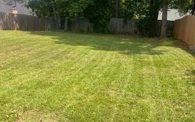 Photo of Daize M.'s yard after getting lawn care in Pensacola, FL