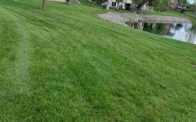 Photo of Rindy B.'s yard after getting lawn care in Andover, KS