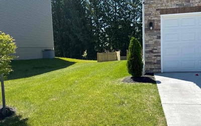 Photo of Tyler Q.'s yard after getting lawn care in Westminster, MD