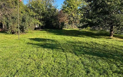 Photo of Randy C.'s yard after getting lawn care in Ephrata, PA