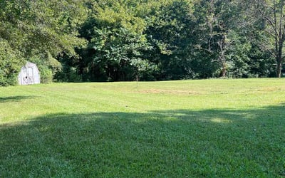 Photo of Malcolm R.'s yard after getting lawn care in Summit, NJ