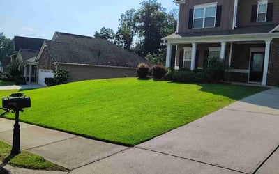 Photo of Sharon C.'s yard after getting lawn care in Hartford, CT