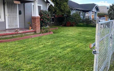 Photo of Lorie R.'s yard after getting lawn care in Chico, CA