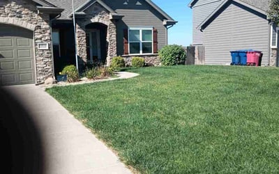 Photo of Ricky P.'s yard after getting lawn care in Papillion, NE