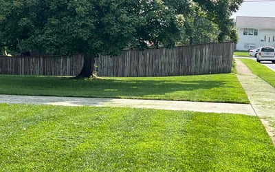 Photo of Amy B.'s yard after getting lawn care in Cohoes, NY