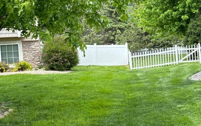 Photo of Dianja D.'s yard after getting lawn care in Golden Valley, MN