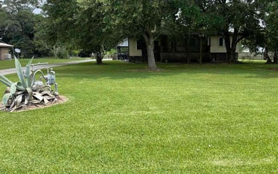 Photo of Brian Z.'s yard after getting lawn care in New Iberia, LA