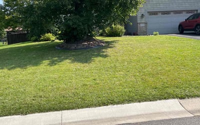 Photo of Matt R.'s yard after getting lawn care in Robbinsdale, MN