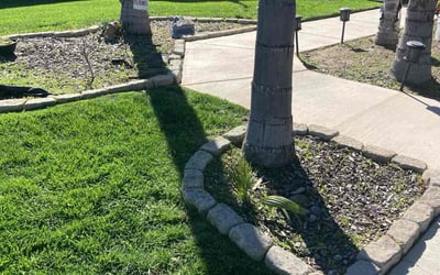 Photo of Shanekqa J.'s yard after getting lawn care in Perris, CA