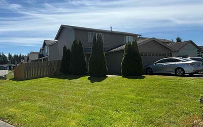 Photo of Andrew M.'s yard after getting lawn care in Spanaway, WA