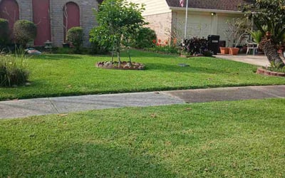 Photo of Jesus A.'s yard after getting lawn care in Houston, TX