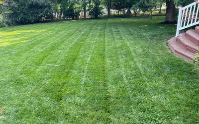 Photo of Nevaeh S.'s yard after getting lawn care in Huntsville, AL
