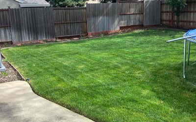 Photo of George H.'s yard after getting lawn care in Elk Grove, CA