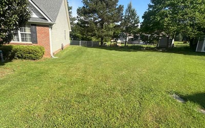 Photo of Tiffany S.'s yard after getting lawn care in Williamston, SC