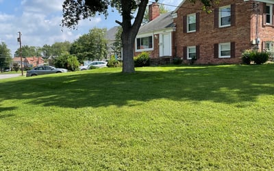Photo of Khamrone K.'s yard after getting lawn care in Springfield, VA