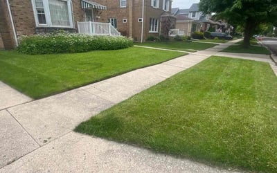Photo of Kendra S.'s yard after getting lawn care in Palos Hills, IL