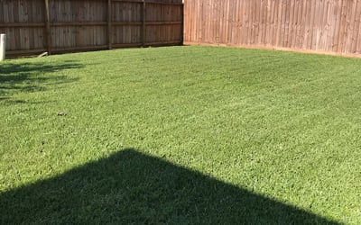 Photo of Pamela P.'s yard after getting lawn care in Oroville, CA
