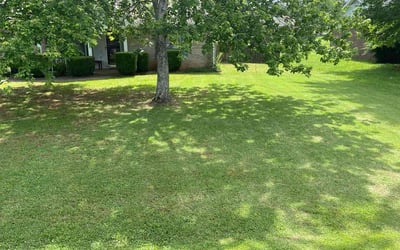 Photo of Marvin W.'s yard after getting lawn care in Harvest, AL