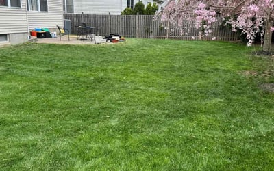 Photo of Amy G.'s yard after getting lawn care in Rockaway, NJ