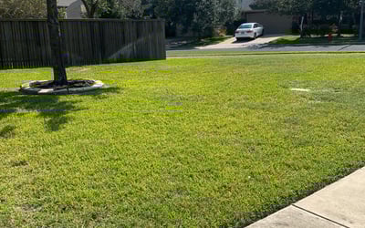 Photo of Katherine A.'s yard after getting lawn care in Swansea, MA