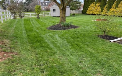 Photo of Greg B.'s yard after getting lawn care in Ocean City, MD