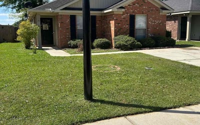 Photo of Steve S.'s yard after getting lawn care in Mobile, AL