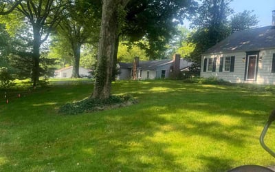 Photo of Jason W.'s yard after getting lawn care in Niles, OH