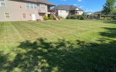 Photo of Lawrence W.'s yard after getting lawn care in Fairview Heights, IL