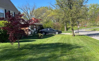 Photo of Ashly R.'s yard after getting lawn care in Beltsville, MD