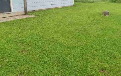 Photo of Anderson J.'s yard after getting lawn care in Spring Hill, TN