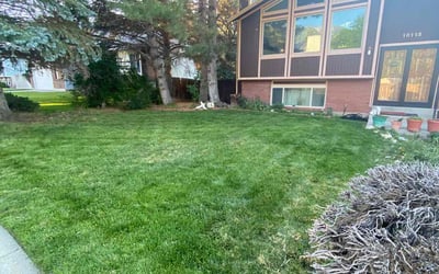 Photo of Ellen A.'s yard after getting lawn care in Sandy, UT