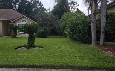 Photo of Jordyn E.'s yard after getting lawn care in Riverdale, GA