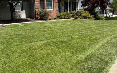 Photo of Steve B.'s yard after getting lawn care in Shippensburg, PA