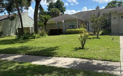 Photo of Kimberley P.'s yard after getting lawn care in Frisco, TX