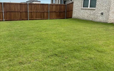 Photo of Riona E.'s yard after getting lawn care in Crown Point, IN