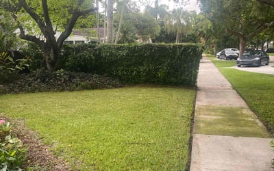 Photo of Jocelyn T.'s yard after getting tree care in Opa Locka, FL