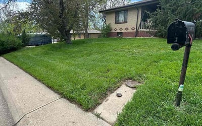 Photo of Matthew P.'s yard after getting lawn care in Lakewood, NJ