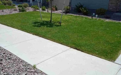 Photo of Becky B.'s yard after getting lawn care in Xenia, OH