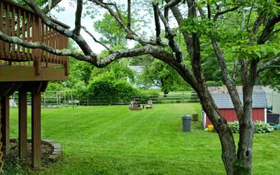 Photo of Alexa P.'s yard after getting lawn care in Doylestown, PA