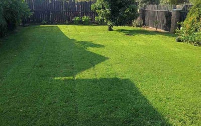 Photo of Trisha R.'s yard after getting lawn care in Big Bear City, CA