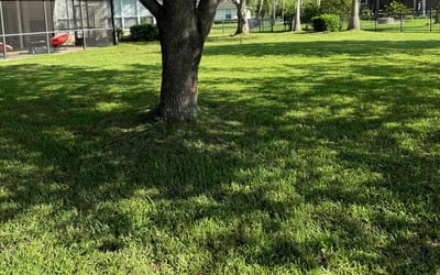 Photo of Jennifer D.'s yard after getting lawn care in Bristol, CT