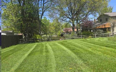 Photo of Lauren Y.'s yard after getting lawn care in Grand Prairie, TX