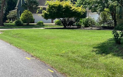 Photo of Patrick E.'s yard after getting lawn care in Williamsburg, VA