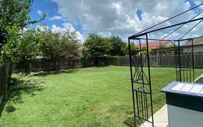 Photo of Michael Y.'s yard after getting lawn care in Pflugerville, TX