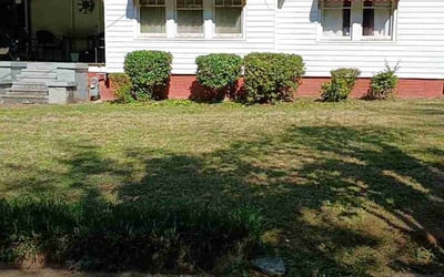 Photo of Cheryl W.'s yard after getting lawn care in Mill Valley, CA