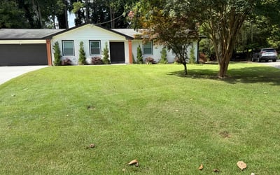 Photo of Kerrie P.'s yard after getting lawn care in Gulf Shores, AL