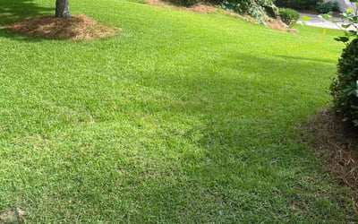 Photo of Sheetal M.'s yard after getting lawn care in Atlanta, GA