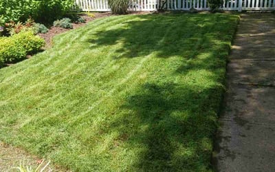 Photo of Patrick B.'s yard after getting lawn care in Milford, CT